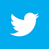 Twitter: Der schnelle Vogel